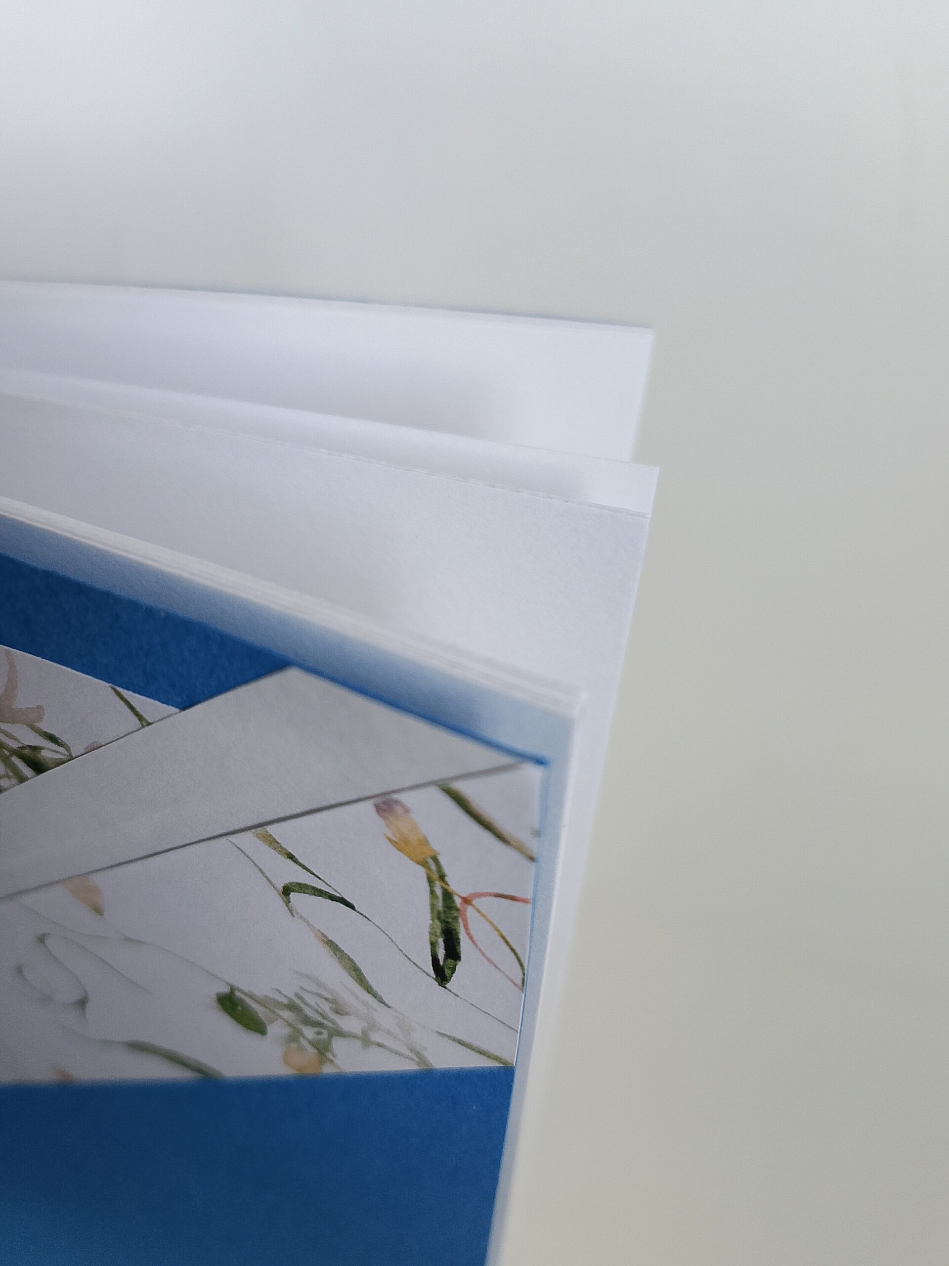 Cuaderno jardín azul A5 - 3